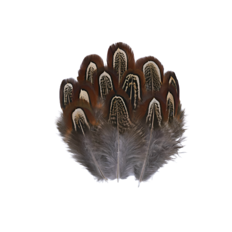 Plumes de faisan petites x15 | Attrapeur de Rêves